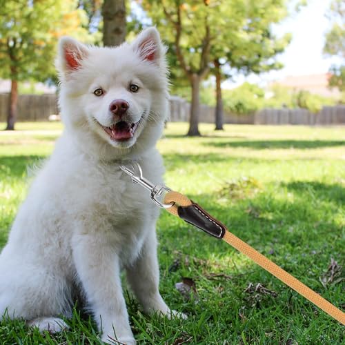 Mile High Life Dog Leash, Rope Leash with Genuine Leather Handle and Heavy Duty Metal Clasp, Great for Small Medium Large Dogs (Yellow, 4FT) - color: Leather Handle-Yellow, size: 48 Inch-1/2"