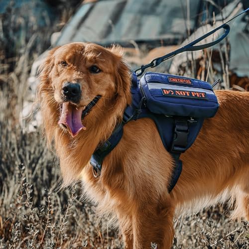 OneTigris Tactical Dog Harness Vest,No-Pull Service Dog Vest with Hook & Loop Panels,Adjustable Dog Vest Harness for Walking Hiking Training(Blue,S) - color: Blue, size: S