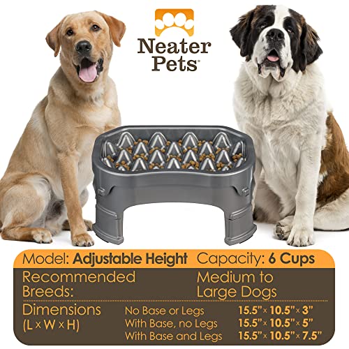 Neater Pet Brands – Neater Raised Slow Feeder Dog Bowl – Elevated and Adjustable Food Height - (6 Cup, Gunmetal)