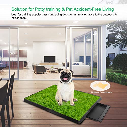 TeqHome Dog Grass Pad with Tray, Dog Litter Box, Reusable Artificial Pee Grass Pad for Dogs Indoor & Outdoor, Dog Potty Tray, Washable Puppy Pee Pad Turf for Dogs to Pee on Balcony Patio (25" x 21")