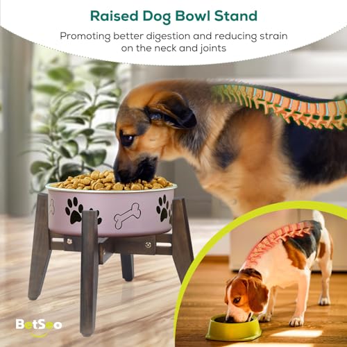 2Pack - Dog Bowl Stand for Water/Food - Adjust with Lock - Dog Water Fountain Holder, Elevates Pet Food and Water Feeder Bowls (Bowl not Included) (2 Pack - (Height 10.4in Width 8-11.5 in) - color: 2 Pack - (Height 10.4in Width 8-11.5 in)