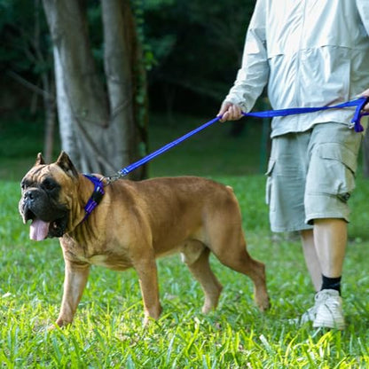 EXCELLENT ELITE SPANKER Reflective Dog Collar Classic Soft Padded Breathable Nylon Adjustable Pet Collar with Quick Release Buckle for Boy Girl Male Female Small Medium Large Dogs Training(Blue-XL) - color: Blue, size: XL