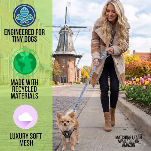 EcoBark Teacup Dog Harness - Step in Luxury Soft Dog Harness - Reflective and Adjustable Mini Body Halter Vest -Tiny Soft Mesh Toy Breed Harness (Gray, XXXS) - color: Gray, size: XXXS- 2 to 3 lbs- Chest up to 10 in (Pack of 1)