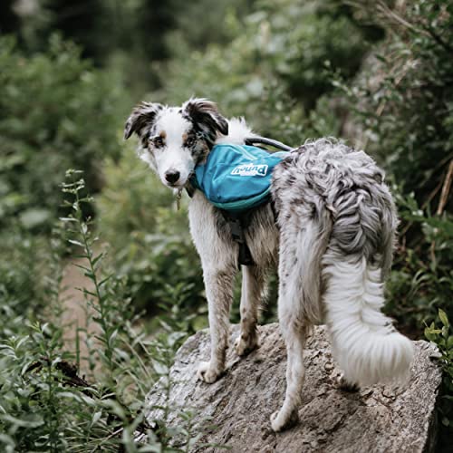 Kyjen Outward Hound The Quick Release Dog BackPack (Assorted, Medium) - size: Medium (Chest Girth: 21"-27")