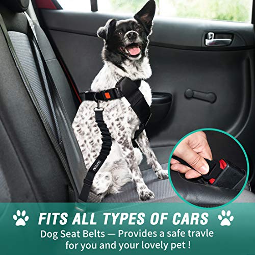 COOYOO Dog Seat Belt, Durability Retractable Dog Car Harness Adjustable Dog Seat Belt for Vehicle Nylon Pet Safety Seat Belts Heavy Duty & Elastic (1 Pack Black) - color: 02-Set 01a Pack -Black