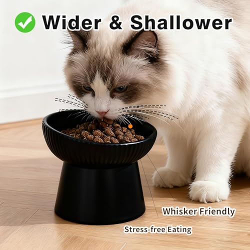 Elevated Cat Food Bowl, Ceramic Raised and Tilted Water Bowl, Whisker Fatigue Cat Bowls for Indoor Cats, Anti Vomiting and Protect Spines Pet Feeding Dishes for Kittens Small Dog, Heavy Non-Slip Base - color: Black