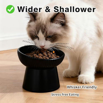 Elevated Cat Food Bowl, Ceramic Raised and Tilted Water Bowl, Whisker Fatigue Cat Bowls for Indoor Cats, Anti Vomiting and Protect Spines Pet Feeding Dishes for Kittens Small Dog, Heavy Non-Slip Base - color: Black