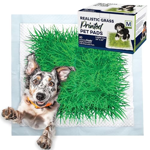 Big Dawg Pet Supplies Absorbent Puppy Pee Pads for Dogs & Cats – 24x24” Disposable Pet Pads – Handy Grab-n-Go Box – Potty Training & Housebreaking Supplies – Color, Grass – 40pc - size: Large