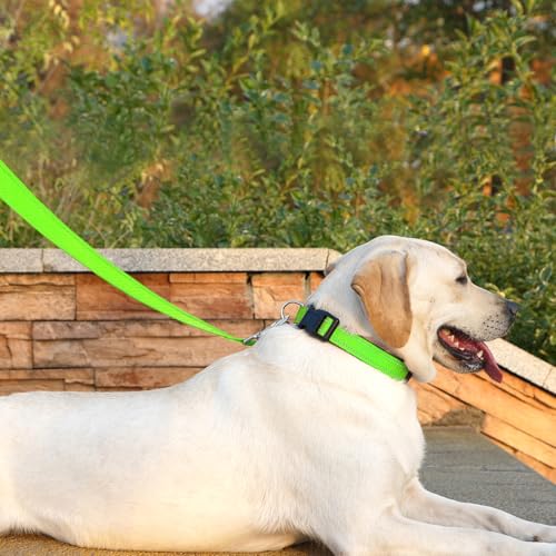 Dog Leash 6 FT Padded Handle Nylon Reflective Dogs Leashes for Small Dogs Puppy Green - color: Refl Green, size: Small : 5/8" x 6 FT
