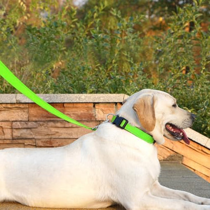 Dog Leash 6 FT Padded Handle Nylon Reflective Dogs Leashes for Small Dogs Puppy Green - color: Refl Green, size: Small : 5/8" x 6 FT