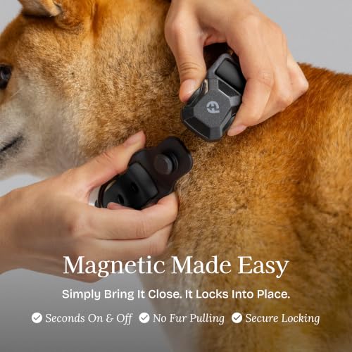 Fei & Eve VERO Dog Collar, Black, Medium | MagEase Magnetic Buckle, Waterproof PVC, Odor Resistant, Easy Clean, Heavy Duty - color: Black, size: M