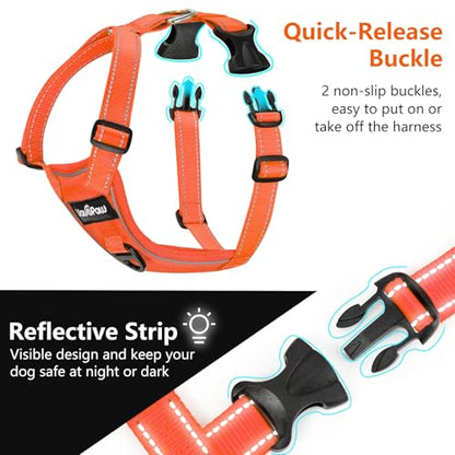 VavoPaw Dog Seat Belt Harness for Car, Dog Car Harness Adjustable Mesh Breathable & Dogs Seatbelt Safety Tether with Elastic Bungee for Small Medium Large Pets(Orange, M)
