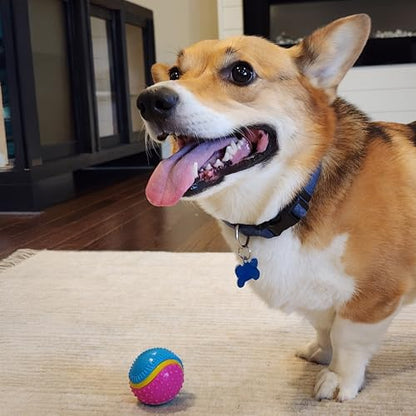 SPOT Sensory Ball for Soft Chewers - Stimulates All 5 Senses, Bell & Squeaker Sounds, Raised Nubs Clean Teeth, High Contrast Fetch Toy, Beef Scented, Durable TPR Rubber Ball, 2.5-inch - size: 2.5 inch (Pack of 1)