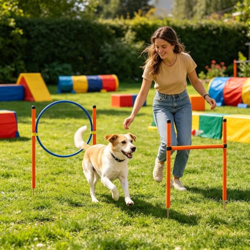 Agility Course for Dogs Exercise Game with Tunnel | Dog Playground Equipment for Outdoor Garden Park Beach Playground Field Competition Recreation - color: B