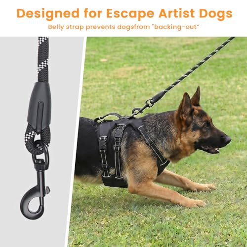 Escape Proof Dog Harness and Leash Set,Soft Padded Full Body Pet Harness, No Pull Reflective Adjustable Dog Vest with Handle, Easy Control Dog Harness for Medium Large Dogs Training Walking Running - color: Black, size: XL