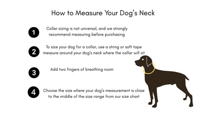 Heavy Duty Waterproof No Smell Dog Collar, Stronger Than Leather, for Active Dogs, Bathing, Dog Parks, Beach, Lake, Trails, Easy on Skin & Fur (Light Blue, Medium) - color: Light Blue, size: Medium