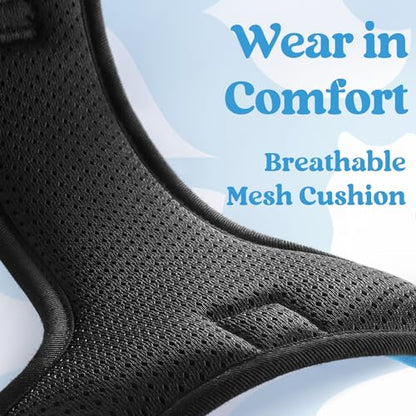 rabbitgoo Dog Harness Small Sized, No Pull Pet Harness with 3 Buckles, Adjustable Soft Padded Vest with Control Handle, Walking Reflective Pet Vest for Small Dogs, Sky Blue, S - color: Sky Blue, size: Small
