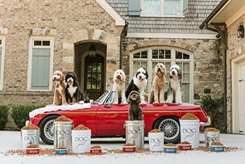 Harry Barker Classic White Dog Food Storage Canister – Medium, Airtight Stainless Steel Pet Food Container, Holds Up to 22 lbs Dry Dog Food, Kitchen Counter & Pantry Storage - White - color: White