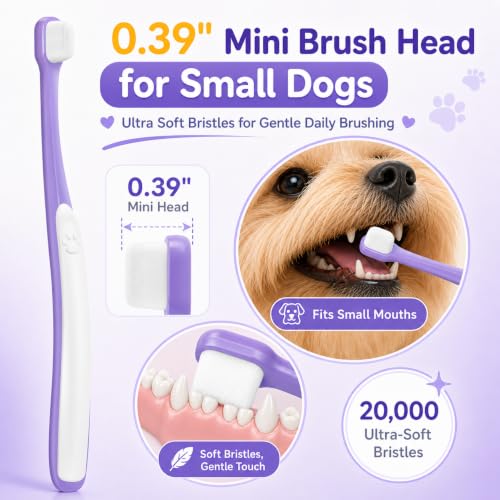Small Dog Toothbrush, Mini Head, Soft Bristles, Under 30 lbs | Gentle Tiny Teeth Care. Curved Handle Reach. Soft Gum Comfort. Rubber Grip Control. Easy Daily Brushing. - size: 1 Count (Pack of 1)