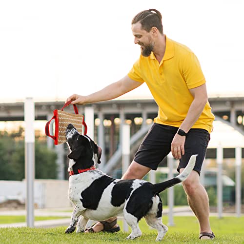 Libima 2 Pcs Dog Bite Pillow Tug Toy with Strong Handles Dog Tug of War Training Tools Jute Bite Toy for Puppy Young Small Medium Pets Interactive Play Training Equipment