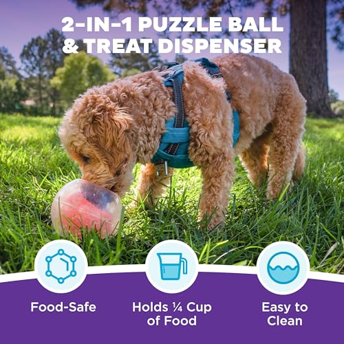 Outward Hound Nina Ottosson Topsy Treat Ball Dog Puzzle Interactive Treat Puzzle Dog Enrichment Dog Toy, Level 1 Beginner, Orange - color: Dog Rumble (Orange)
