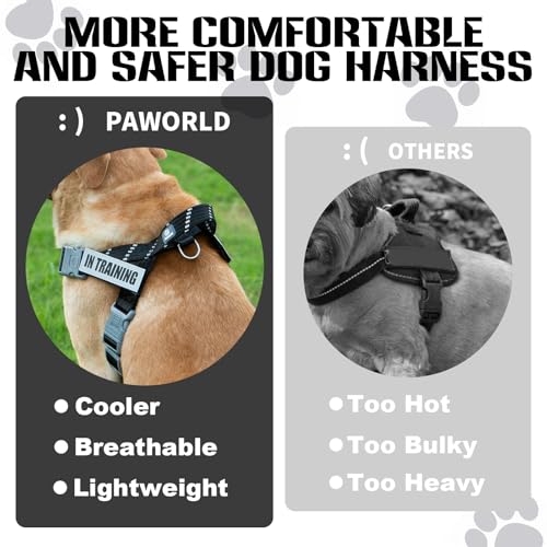 Service Dog Harness and Leash Set, No-Pull Service Dog Vest with 4 PCS Reflective Patches, Dog Vest Harness with Handle, Pet Harness for Small Medium Large Dogs in Training (Black, M) - color: Black (Leash + Harness + 4 Patches), size: Medium (Chest: 22-2
