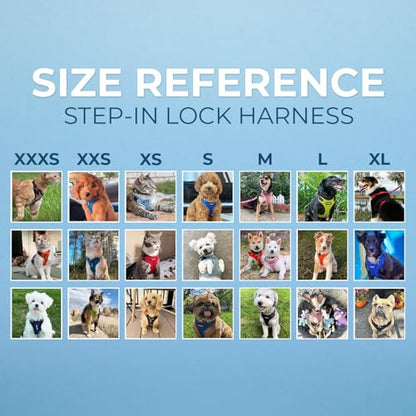Best Pet Supplies Voyager Step-in Lock Pet Harness w Reflective Pet Leash Combo Set with Neoprene Handle 5ft - Supports Small, Medium and Large Breed Puppies/Cats - Army/Black Trim Set, L - color: Harness Leash Set (Army/Black Trim), size: L (Chest: 20 -
