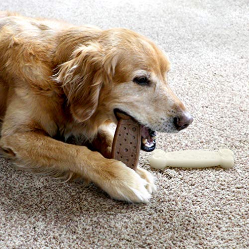 Chew King by Mammoth Gear Nylon Bones, Textured Bacon Flavored Chew Toy - size: Medium, style: Bones (2 Pack)
