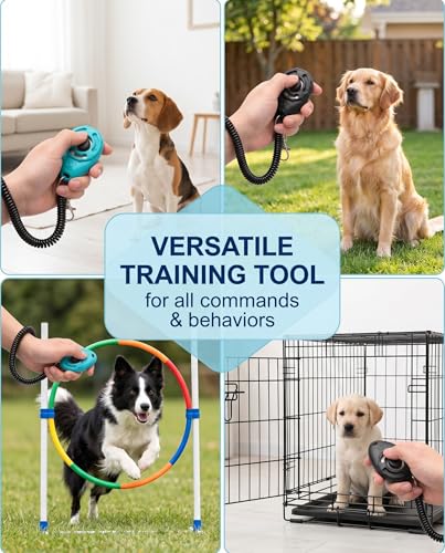 Dog Training Clicker with Coiled Wrist Strap and Metal Clip, Ergonomic Audible Marker for Puppy Obedience, Bone Pattern Design, Durable Plastic, Black and Teal Colors