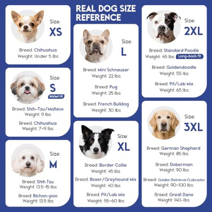 ASENKU Dog Winter Coat, Fleece Doggie Jacket Plaid Reversible Vest Waterproof Windproof Cold Weather Clothes for Small Medium Large Dogs (XS, Blue) - color: Blue, size: X-Small