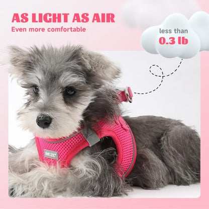 Dog Harness Small Sized and Leash Set, Step in Soft Light Puppy Vest, Breathable Mesh Pet Harness, Reflective for Safe Easy Walking. - color: Pink, size: X-Small (Pack of 1)