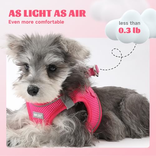 Dog Harness Small Sized and Leash Set, Step in Soft Light Puppy Vest, Breathable Mesh Pet Harness, Reflective for Safe Easy Walking. - color: Pink, size: Large (Pack of 1)