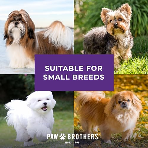 RYAN'S PET SUPPLIES Paw Brothers Soft Flat Slicker Brush with Coated Pin Tips, Mini/Small - size: Mini/Small