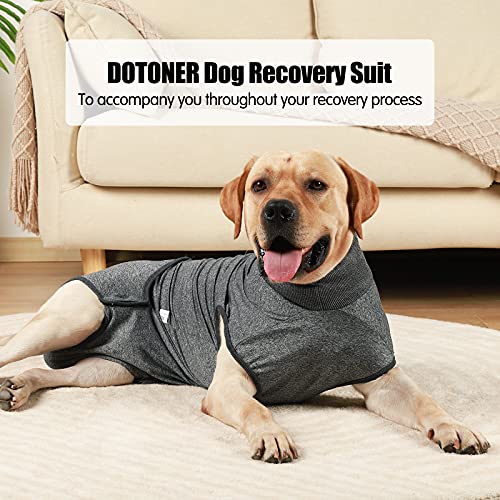 HEYWEAN Full Body Dog Diaper with a Puppy Nappies Physiological Dog Surgery Recovery Suit for Male Female Dogs - color: Grey, size: XX-Small