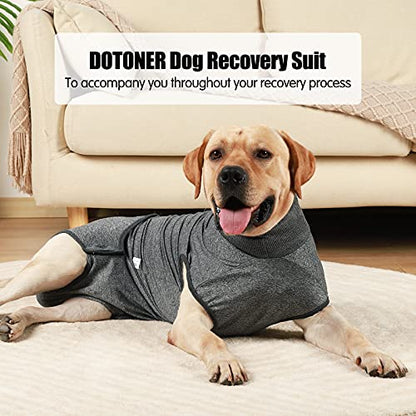 HEYWEAN Full Body Dog Diaper with a Puppy Nappies Physiological Dog Surgery Recovery Suit for Male Female Dogs - color: Grey, size: Large