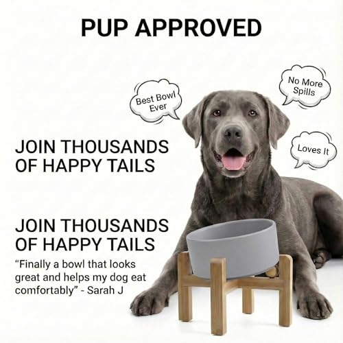 hjn Elevated Ceramic Dog Bowl 15°Slanted Raised Dog Bowl with Bamboo Stand for Small Medium Dogs and Cats, Pet Feeder -7.6-Cup (1800ml)-Gray - color: Misty Gray, size: 7.6Cup