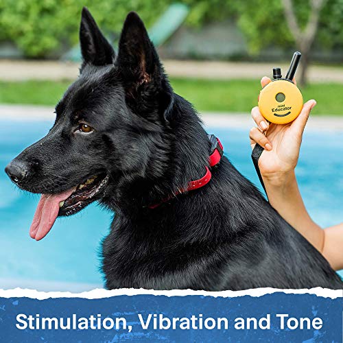 Educator ET-300 Mini E Collar for Dog Training with Remote - 1/2 Mile Range, Waterproof, 100 Blunt Stimulation Levels, Tone or Vibration Mode, Night Light Tracking for Small, Medium & Large Dogs - size: 1-Dog (ET-300)
