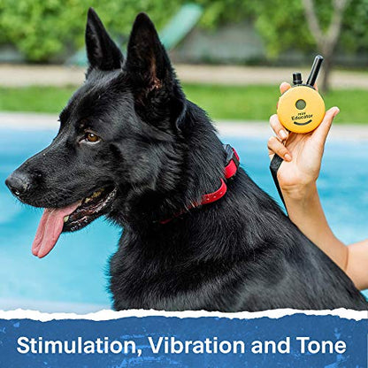 Educator ET-300 Mini E Collar for Dog Training with Remote - 1/2 Mile Range, Waterproof, 100 Blunt Stimulation Levels, Tone or Vibration Mode, Night Light Tracking for Small, Medium & Large Dogs - size: 1-Dog (ET-300)