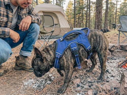 Tuff Pupper Escape Proof No Escape Dog Harness | 5 Point Adjustable Fit Harness for Dogs | Padded Dog Harnesses | Handle Dog Lift Harnesses - color: Midnight Blue, size: Small: 17-22 Inch Chest