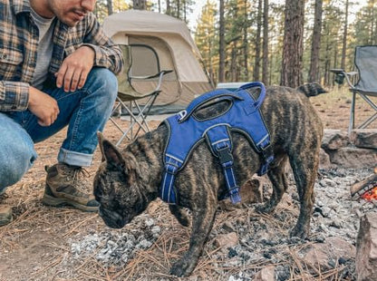 Tuff Pupper Escape Proof No Escape Dog Harness | 5 Point Adjustable Fit Harness for Dogs | Padded Dog Harnesses | Handle Dog Lift Harnesses - color: Midnight Blue, size: Small: 17-22 Inch Chest