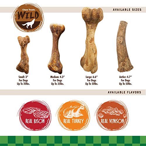 Nylabone Healthy Edibles WILD Natural Dog Chew Treats for Large Dogs, Long Lasting Dog Healthy Chew Antler Bone Made in USA, Venison Flavor, For Dogs Up to 50 lbs. (2 Count) - size: 2.8 Ounce (Pack of 1)