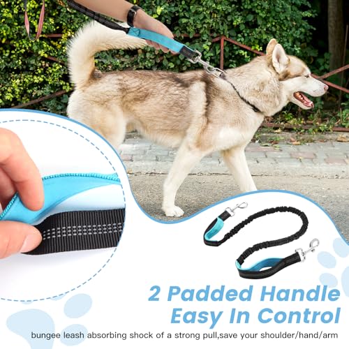 Caudblor Waist Leash for Medium Large Dog Walking, Bungee Hands Free Leash with Zipper Pouch, Around The Waist No Pull Running Dog Belt, Padded Handle Jogging No Hands Heavy Duty - color: Blue