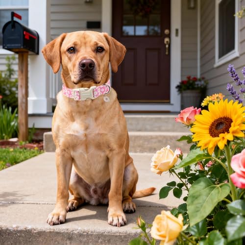 DOGWONG Flower Dog Collar-Daisy Flower Print Girl Dog Collar for Large Cute Dog Collars Spring Female Pet Gift Adjustable Heavy-Duty Soft Collar，XS - color: A: Pink Daisy, size: X-Small