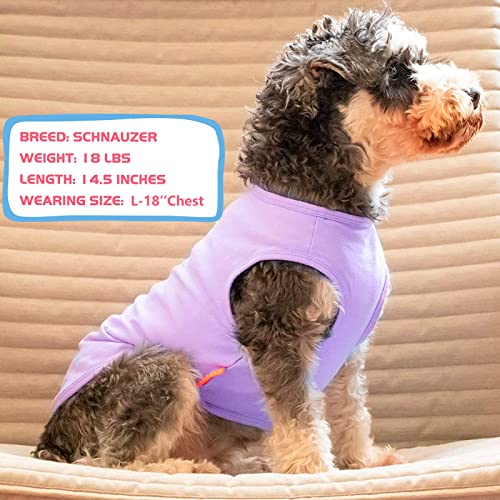 KYEESE 2Pack Dog Shirt, Soft Striped Dogs T Shirts, Lightweight Doggie Tank Top Cat Clothes, Sleeveless Dog Shirt for Small Dogs, Stretchy Pet Vest, Purple+Blue Striped, Medium - color: 04# 2Pack (Purple+Purple Striped), size: Medium (7-13lbs)