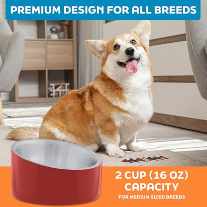 Master Pet Supply Stainless Steel Slanted Dog Cat Food Bowl - 16 oz Heavy Duty - Crimson Flame, Double Wall Insulated, Non-Slip Elevated Bowl for French Bulldogs Pugs Cats, Anti Rust Dishwasher Safe - color: Crimson Flame, size: 2 Cups (16 oz)