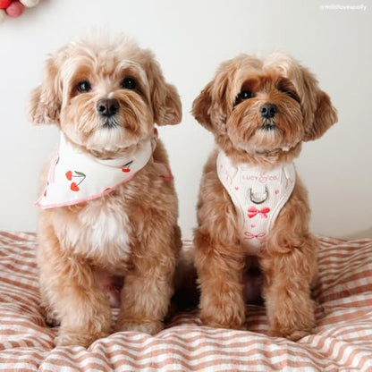 Lucy & Co. Ever So Sweet No-Pull Dog Harness, Adjustable Front Clip Harness with Comfort Padding, X-Large - color: Ever So Sweet, size: X-Large