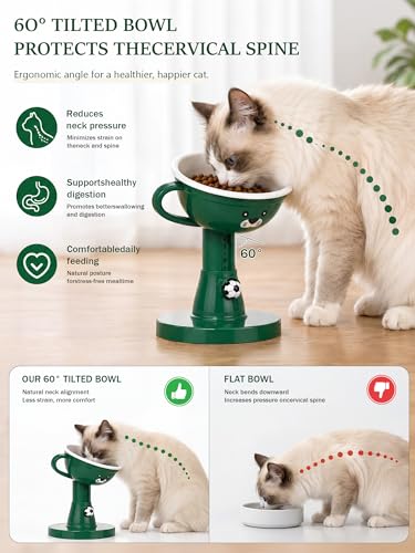 Raised Cat Bowl Elevated Cat Feeding Station, 7-Level (4.7-8.2) Height Food and Water Bowls for Cats and Small Dogs, 60° Tilt Cats Feeder for Indoor Spine Protection Anti-Vomiting, Green - color: Green