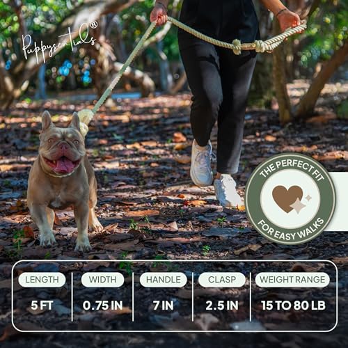 Braided Cotton Rope Dog Leash for Medium & Large Dogs – Enjoy Tangle-Free Walks with Soft Comfortable Grip & Reliable Control – Durable for Daily Walks, Training & Special Moments - Vanilla - color: Vanilla