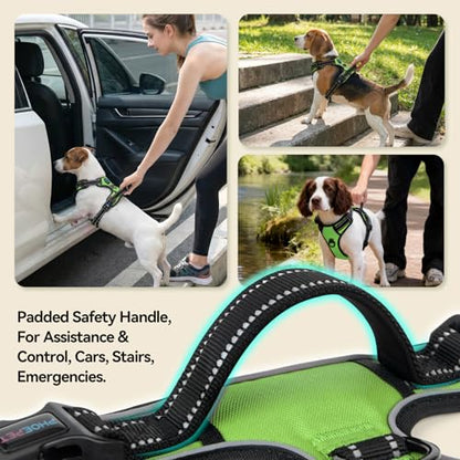 PHOEPET No Pull Dog Harnesses for Small Puppies Reflective Adjustable Front Clip Vest with 2 Metal Leash Attachment Hooks Soft Handle(S, Green) - color: Green, size: Small