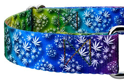 Country Brook Petz - Groovy Ganja Martingale Dog Collar Limited Edition - Groovy Collection Featuring Far Out Designs (1/2 Inch, Extra Small) - color: Groovy Ganja, size: Extra Small (Pack of 1)